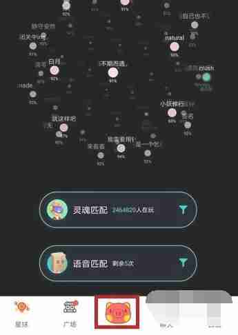 soul语音瞬间发布技巧揭秘