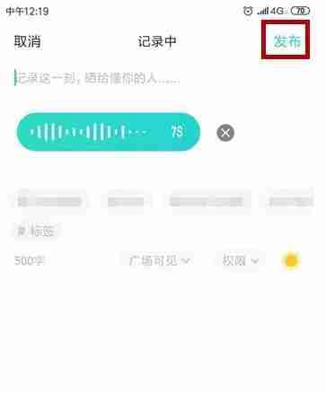 soul语音瞬间发布技巧揭秘