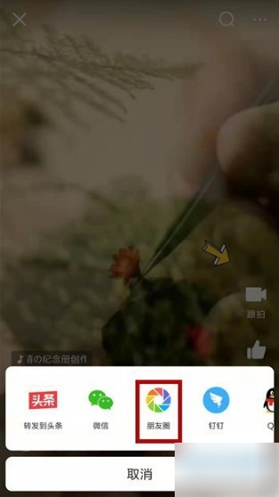 今日头条朋友圈分享技巧
