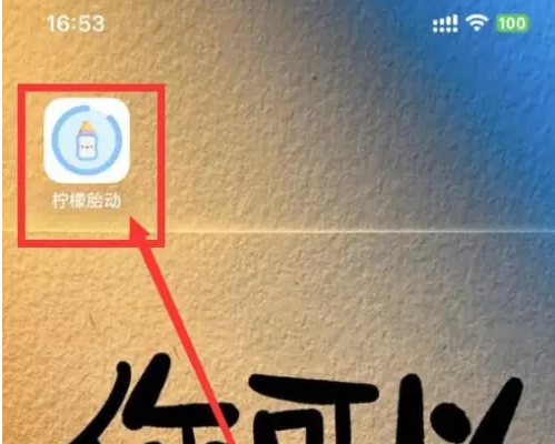 柠檬胎动app胎动计数使用指南