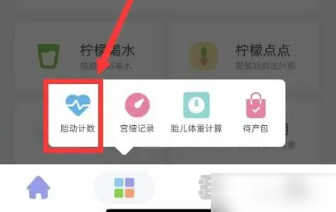 柠檬胎动app胎动计数使用指南