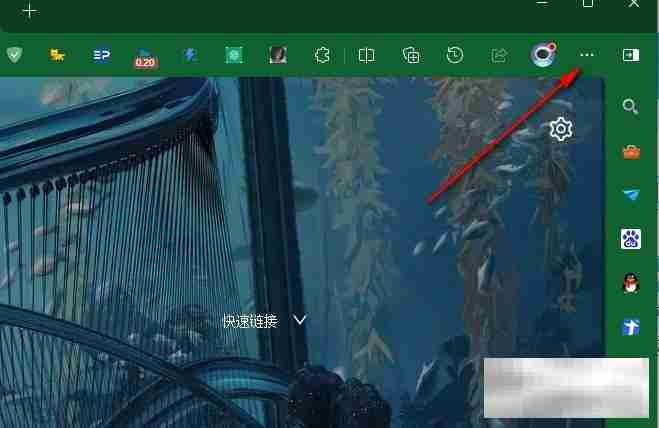 Edge浏览器拼写检查功能开启指南