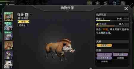 荒原曙光宠物捕获最佳推荐
