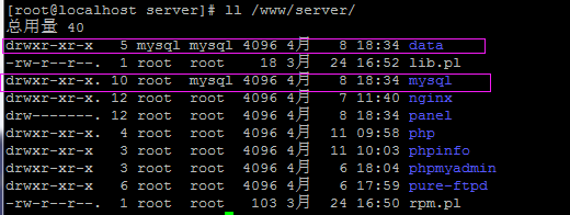 宝塔面板Linux下Mysql启动故障排查指南