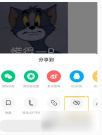 Lofter屏蔽tag操作全攻略