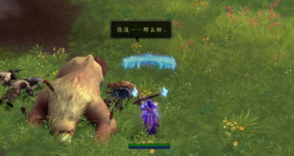 魔兽世界11.0宠物符咒获取攻略
