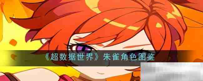 超数据世界朱雀角色全解析