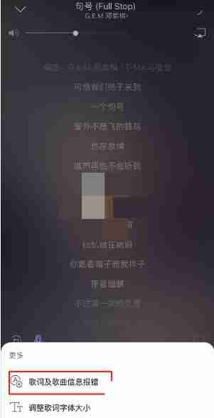 网易云音乐歌词尊享技巧揭秘
