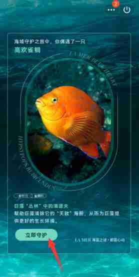 QQ守护海洋生物参与全攻略