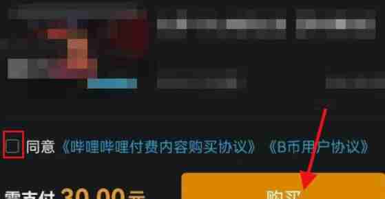 哔哩哔哩付费视频观看指南