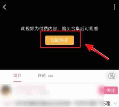 哔哩哔哩付费视频观看指南