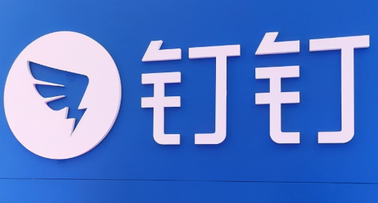 钉钉隐私设置隐藏行程教程