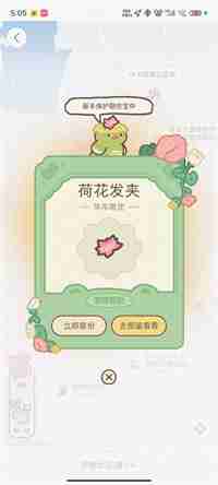 小红书宠物挖宝秘籍揭秘