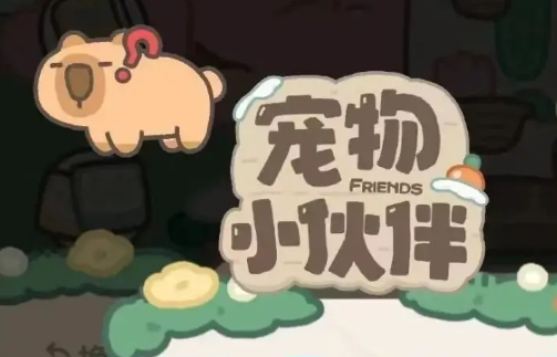 小红书宠物挖宝秘籍揭秘