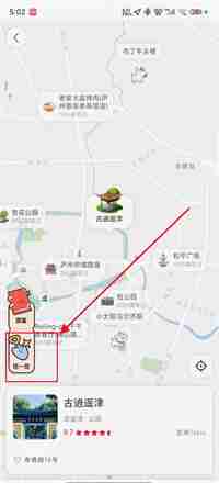 小红书宠物挖宝秘籍揭秘