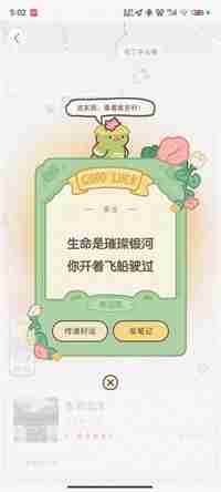 小红书宠物挖宝秘籍揭秘