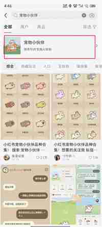 小红书宠物领养全攻略