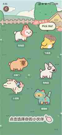 小红书宠物领养全攻略