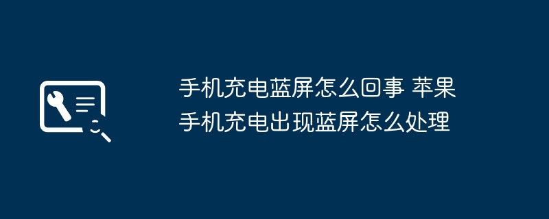 苹果手机充电蓝屏解决方法