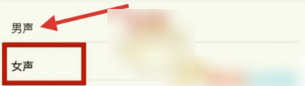 有道翻译官男声发音设置技巧