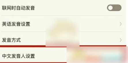 有道翻译官男声发音设置技巧