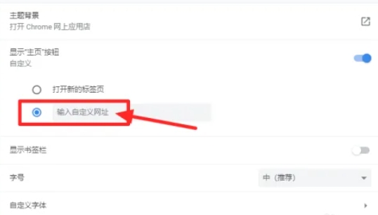 Google浏览器主页设置技巧