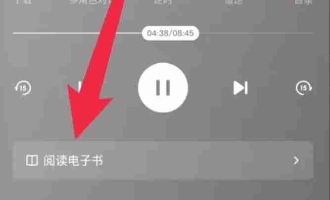 番茄畅听文字查看技巧揭秘
