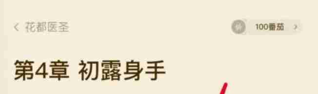 番茄畅听文字查看技巧揭秘