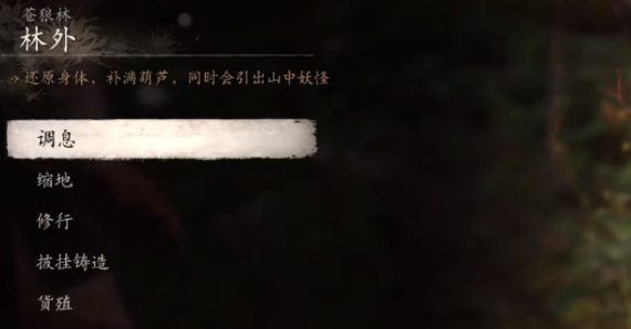 黑神话悟空黑风山苍狼林打坐点位置