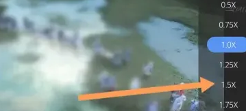 暴风影音倍速播放视频技巧