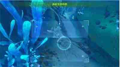 原神水下沉落物位置全攻略