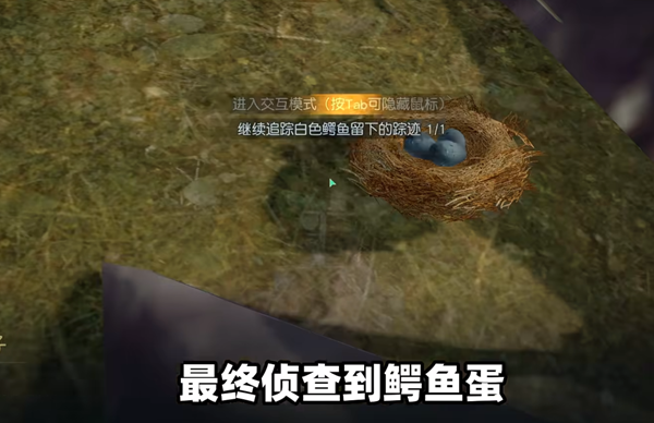 黎明觉醒白鳄女王位置全攻略