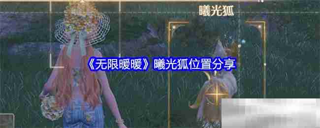 无限暖暖曦光狐位置全攻略
