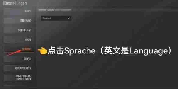 暗区突围国际服中文设置全攻略