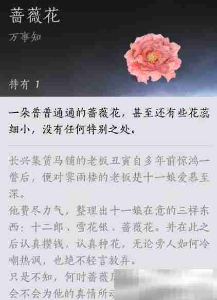 燕云十六声蔷薇风信任务全攻略