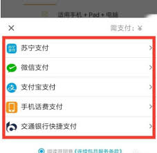 PP视频会员开通及支付方式详解