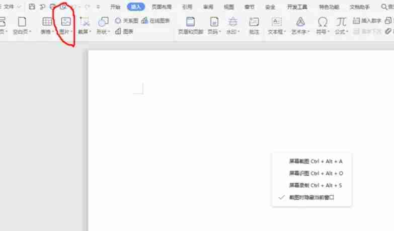 wps电脑版创建空白文件插入图片技巧