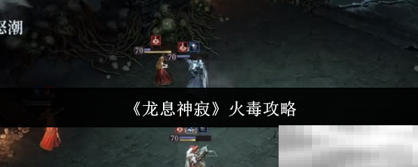 龙息神寂火毒玩法全解析