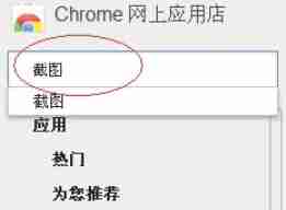 Google浏览器截图技巧全攻略