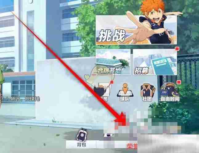 排球少年新征球员荣誉领取攻略