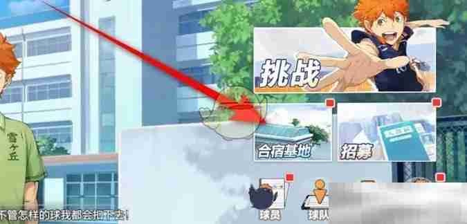 排球少年新征途常青树盆栽获取攻略