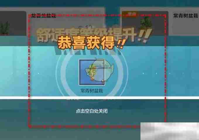 排球少年新征途常青树盆栽获取攻略